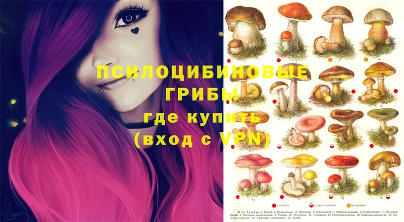 Галлюциногенные грибы Psilocybine cubensis  KRAKEN ССЫЛКА  Белая Калитва 